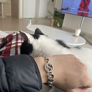레플리카 사이트, 레플리카 시계
