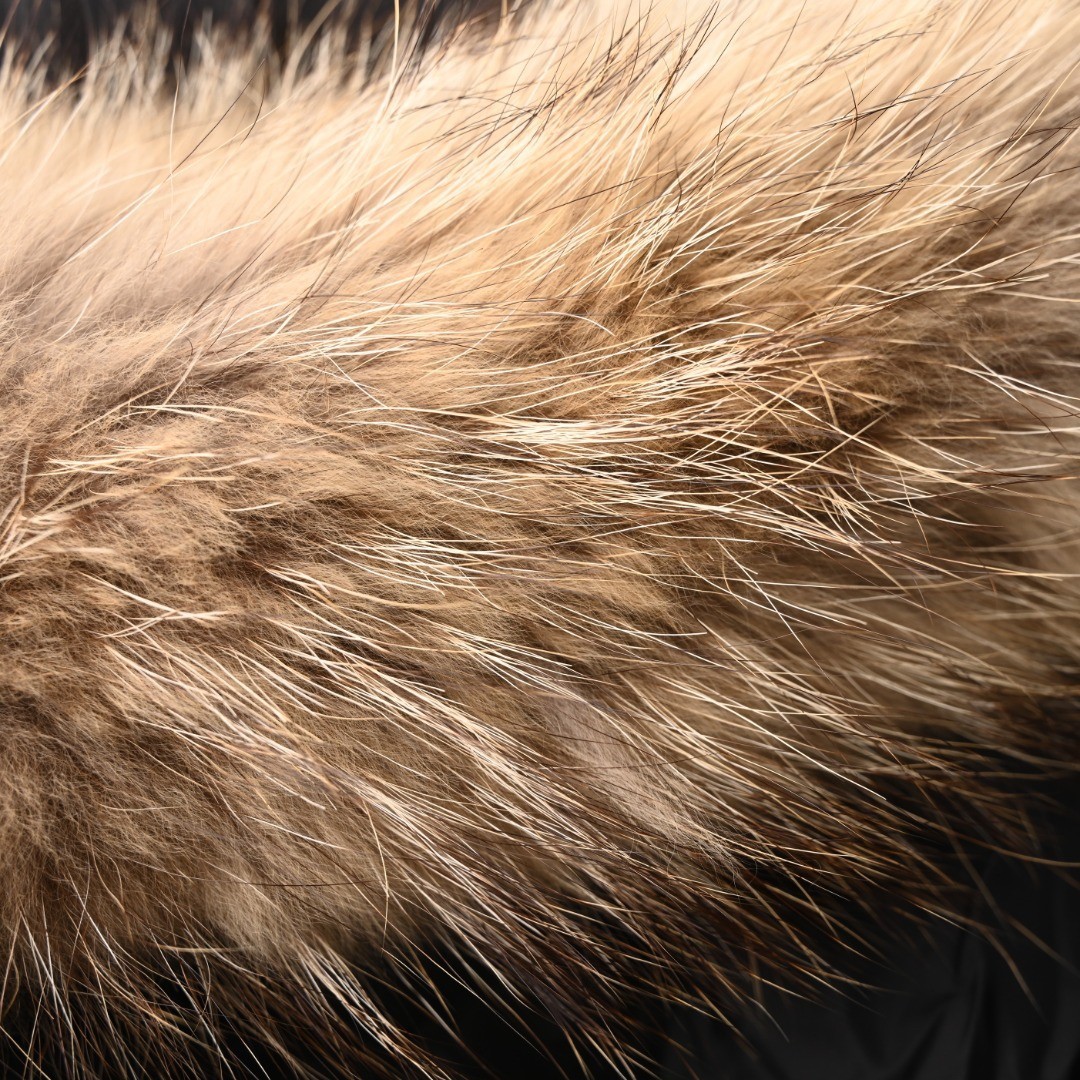 11ccd1da955bfdf37a22a529e445b288_1764863718_7138.jpg 11ccd1da955bfdf37a22a529e445b288_1764863718_7138.jpg