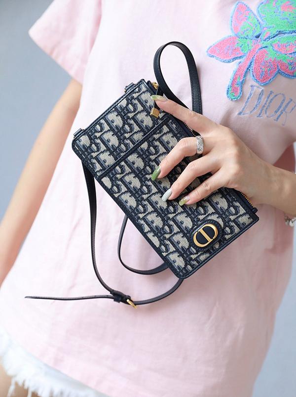 디올 몽테인 버티컬 파우치